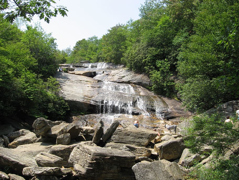 Waterfall, Forest, mountain, tree, rock - object, nature, outdoors HD wallpaper