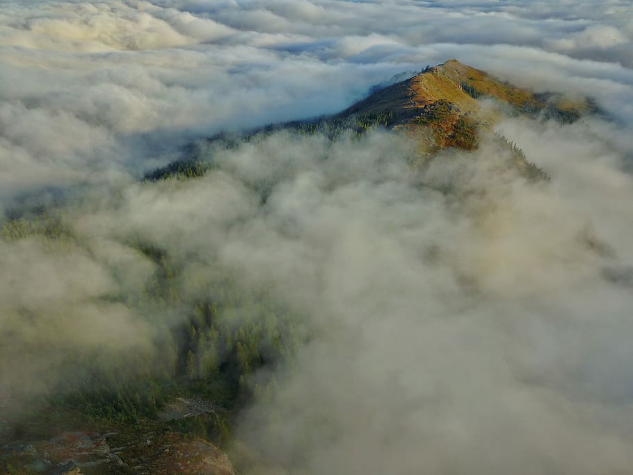 aerial photo of mountain covered with clouds, view, hill, forest HD wallpaper