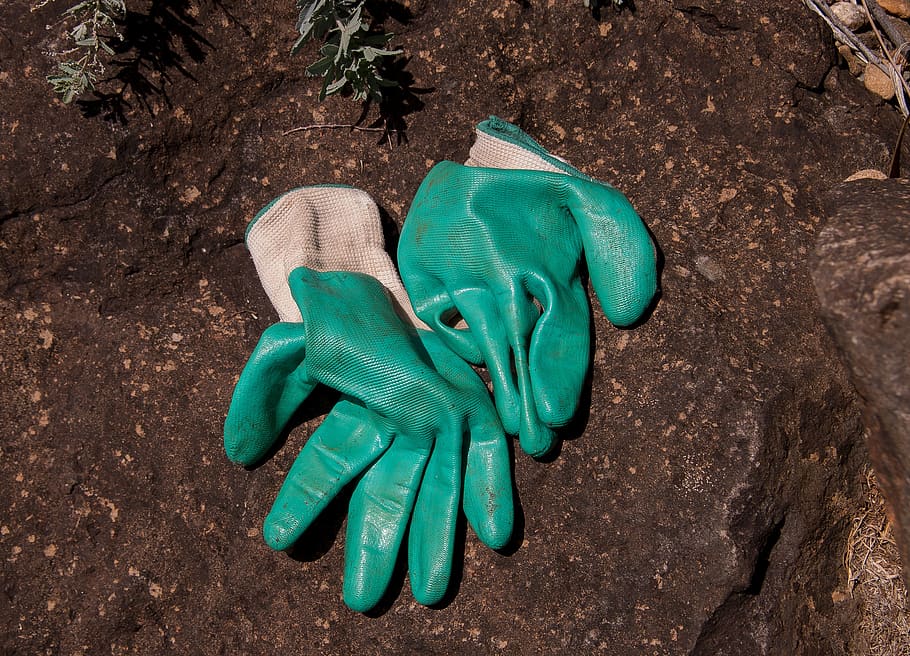 gloves, gardening, protection, hands, clothes, pair, work, green color, HD wallpaper