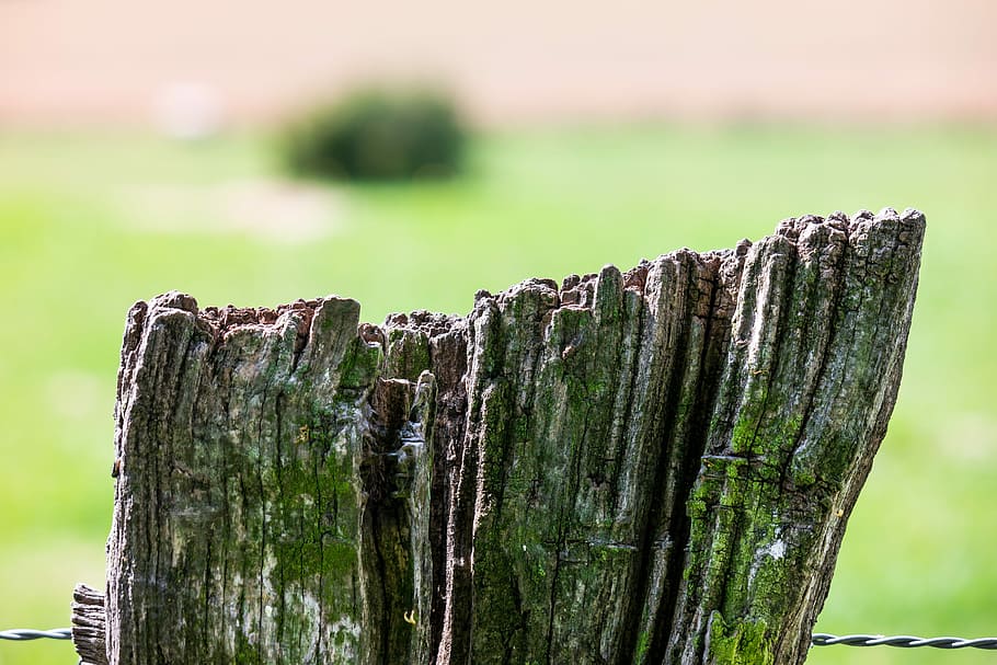 Fence, Wire, Pasture, Meadow, Pile, fence post, wood, demarcation HD wallpaper
