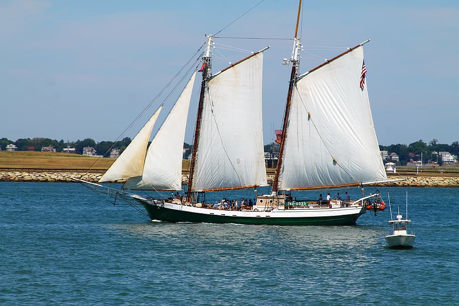 sailing, schooner, boston harbor, nautical vessel, transportation HD wallpaper