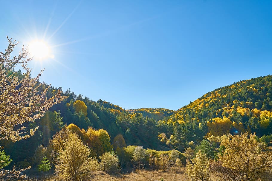 mountains, trees, autumn, nature, landscape, background, forest HD wallpaper