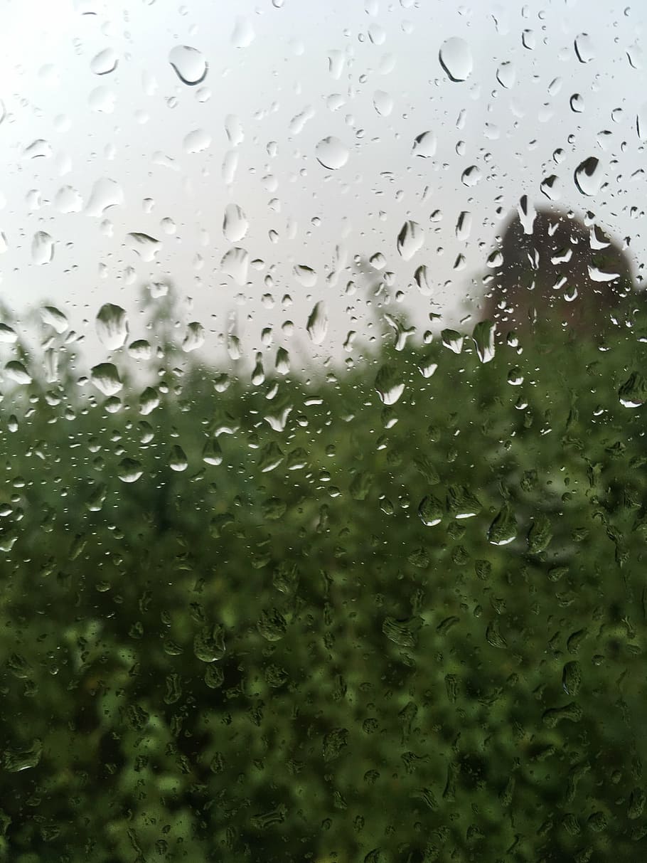 rain drops, glass, droplets, wet, water, glass - material, transparent HD wallpaper