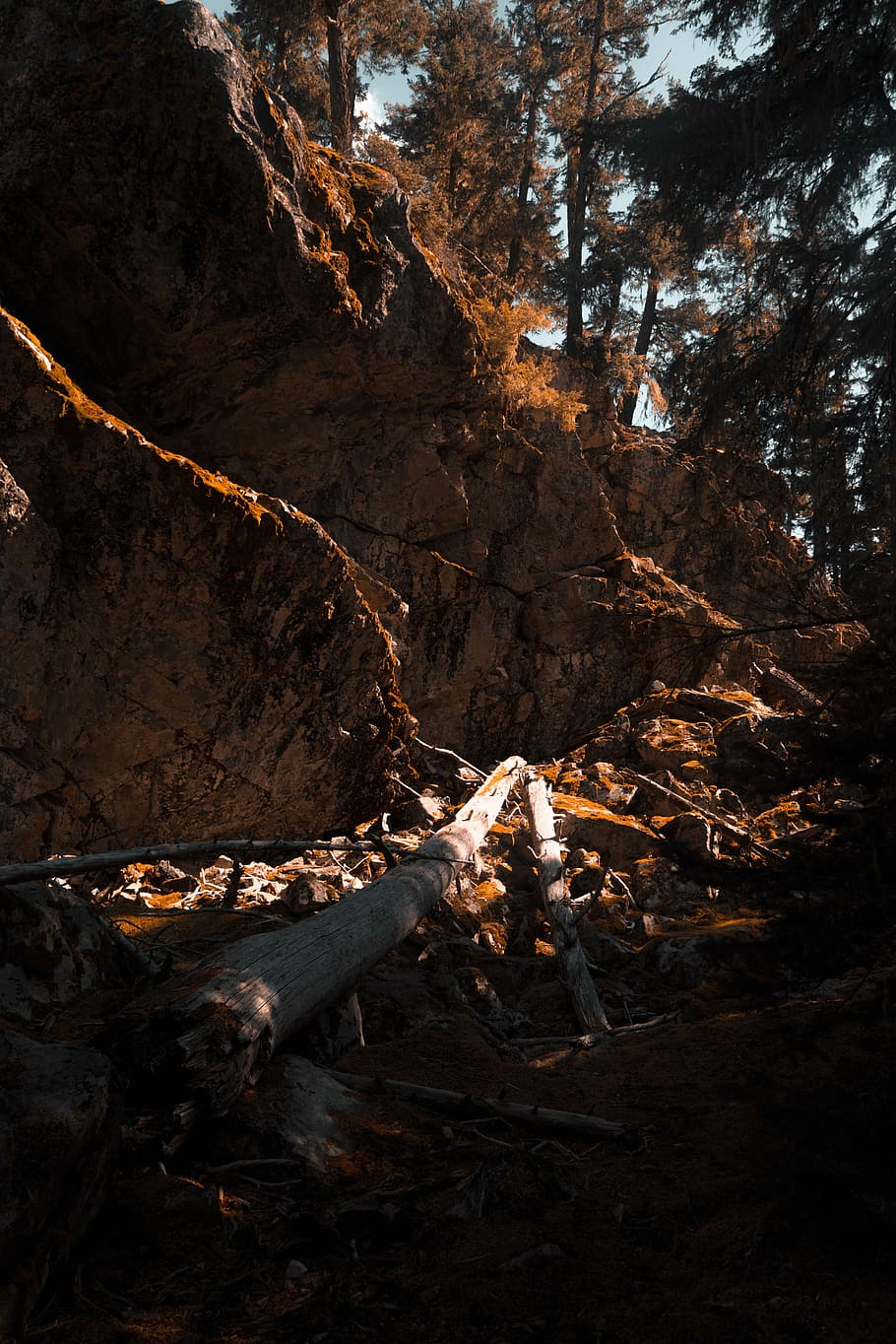 mountain ahead, brown tree log on brown sound, cliff, climbing HD wallpaper