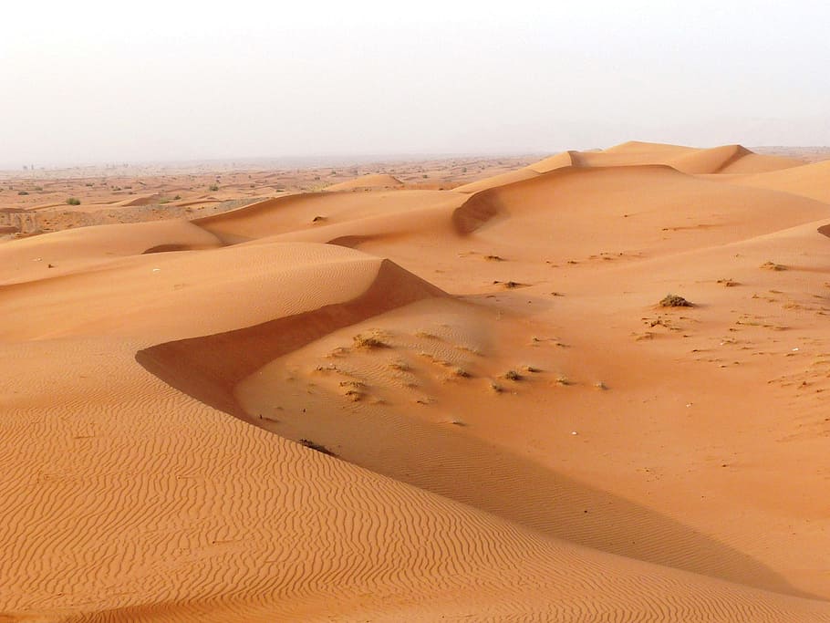 brown desert under bright sky, sand, dune, land, sand dune HD wallpaper