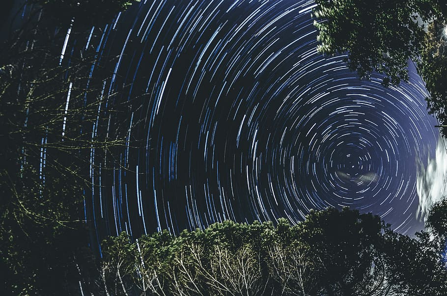 time lapse photography of stars, time lapse photography of stars and trees HD wallpaper
