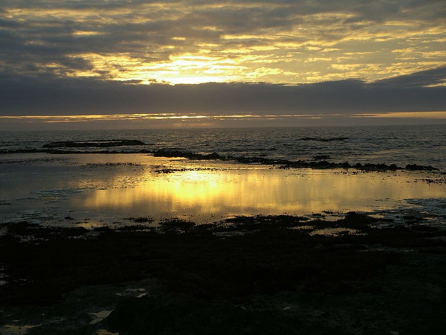 low tide, sunset, clouds, sky, sea, ocean, beach, water, cloud - sky HD wallpaper