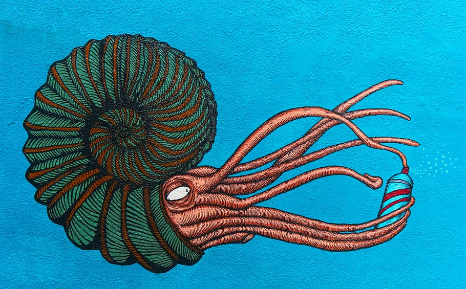 green and brown squid with shell painting, street, art, ammonite, HD wallpaper