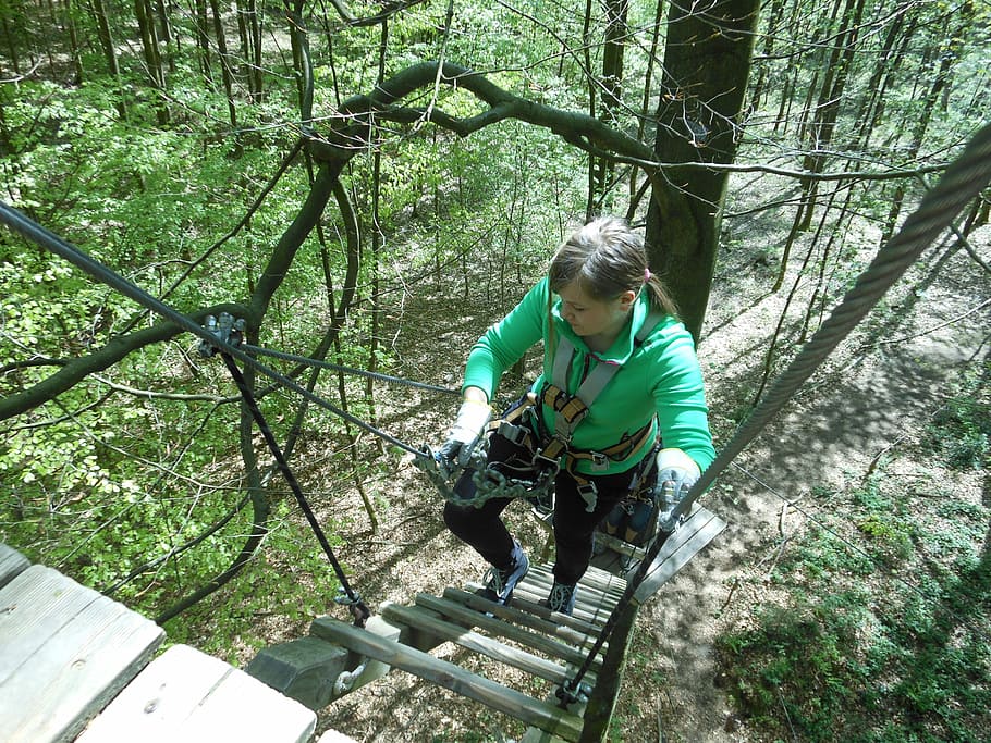 Climbing, Forest, Aachen, Trees, Hobby, climbing forest, holidays HD wallpaper