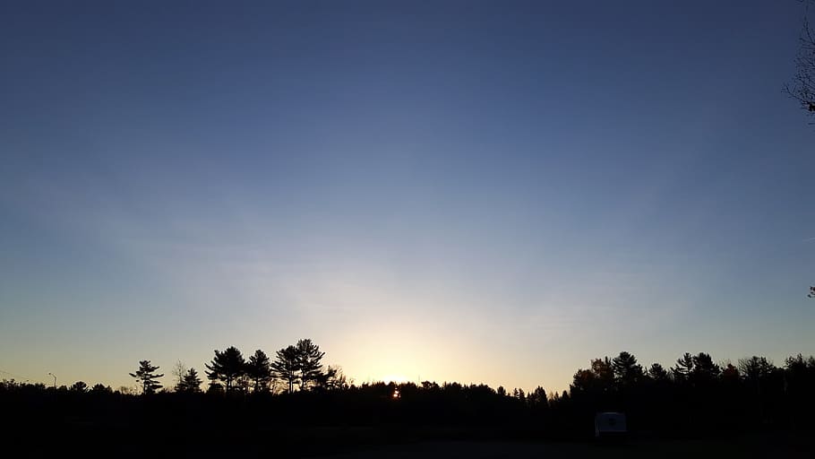 sunrise, trees, fall, sky, silhouette, plant, tranquility, beauty in nature HD wallpaper