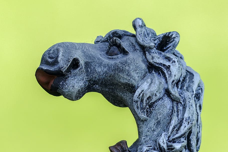 horse, statue, stone, sculpture, funny, decoration, close up HD wallpaper