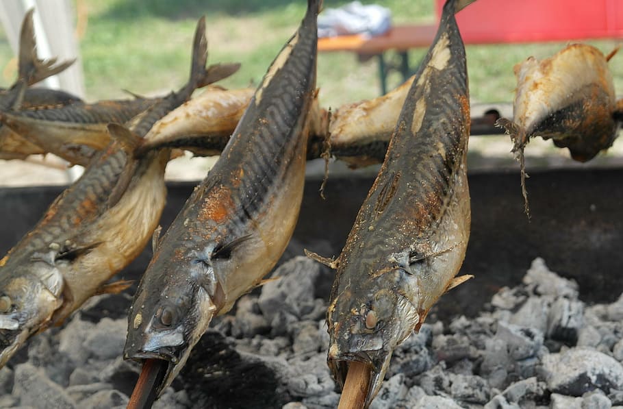 steckerlfisch, mackerel, grill, fish, charcoal, fire, food HD wallpaper