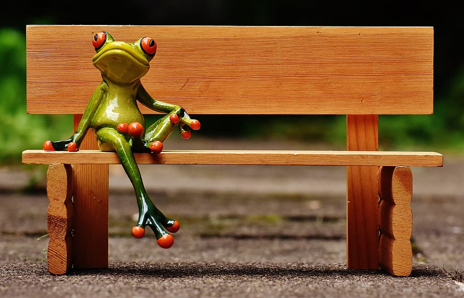 green frog on brown wooden bench wallpaper, sit, bank, rest HD wallpaper