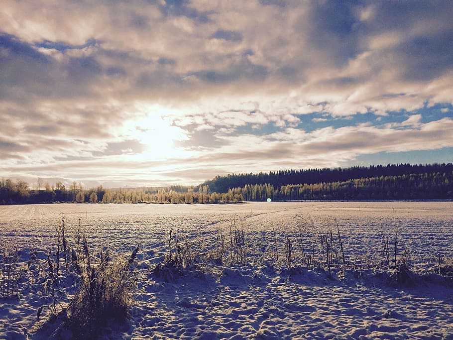 snow-covered ground under cumulus clouds, snow background, landscape HD wallpaper