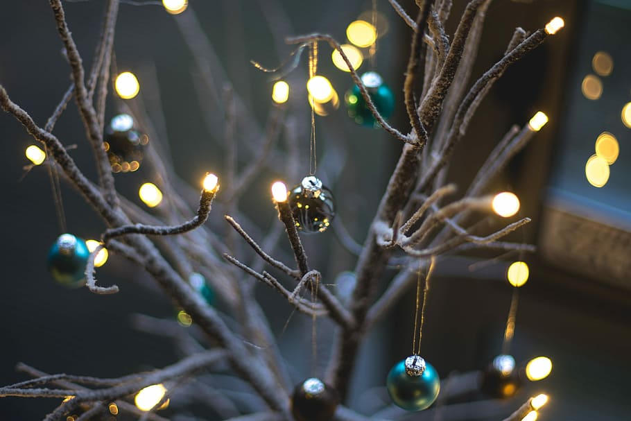 turned on string lights hanging on bare tree with baubles, green bauble on bare tree HD wallpaper