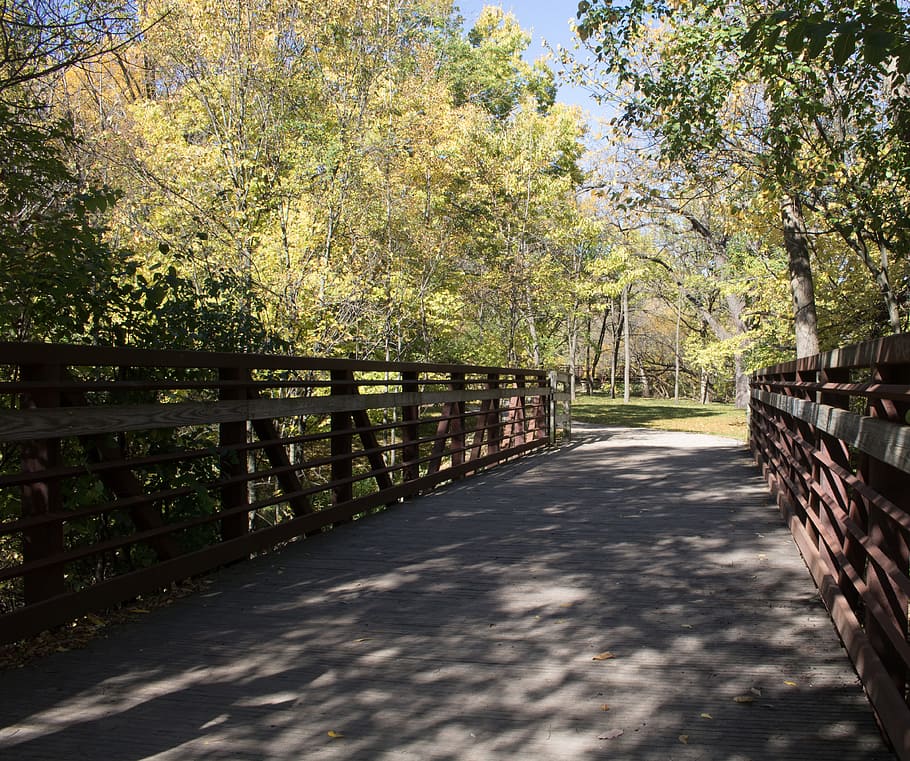 bridge, nature, park, outdoor, scenic, path, leading lines