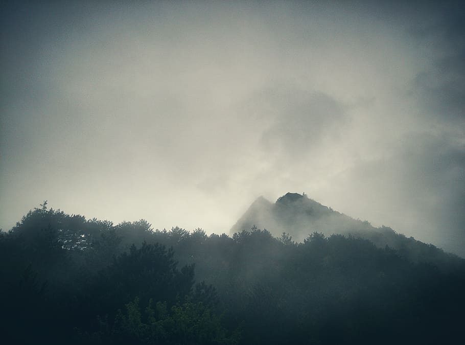 landscape, the scenery, clouds, tree, fog, plant, mountain HD wallpaper