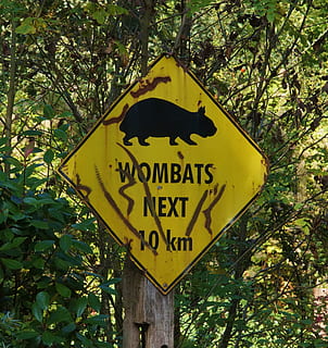 Wombat, Shield, Warning, Sheet, stainless, old, street sign HD wallpaper