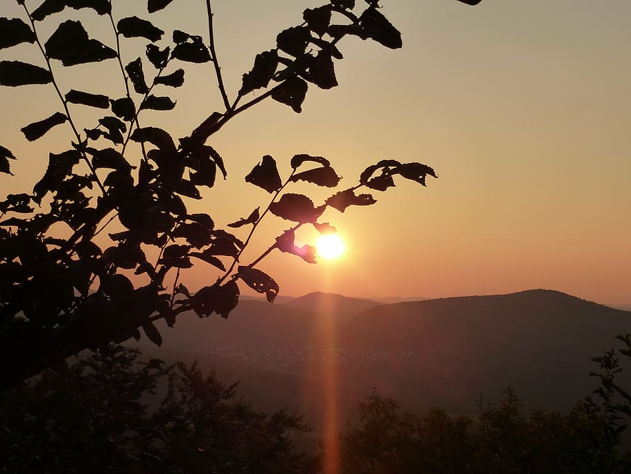 sunset, sky, evening sky, mountains, sunrise, morning, tree HD wallpaper