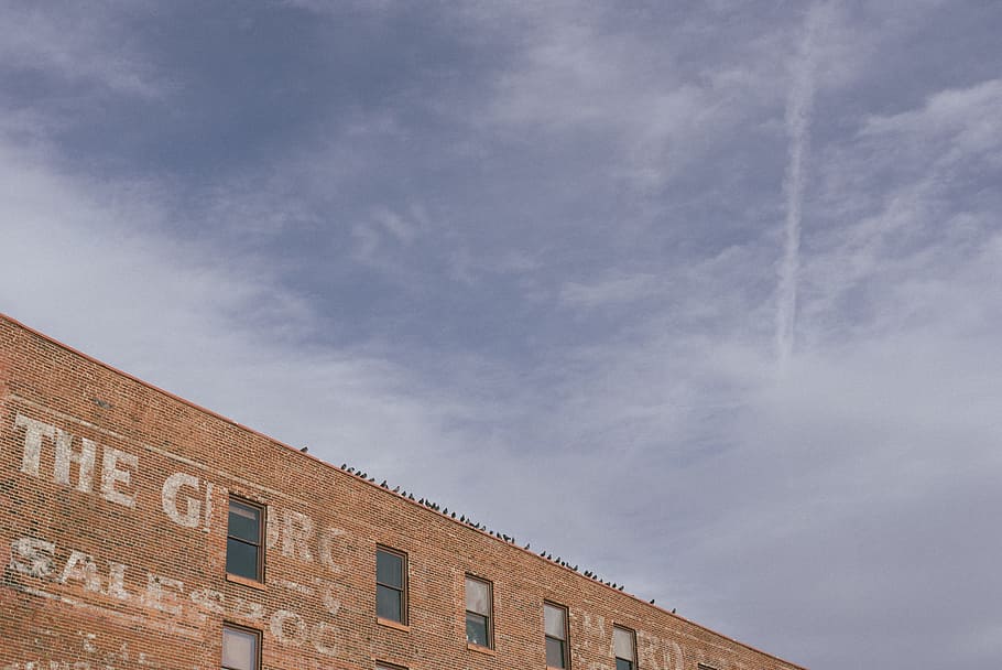 red concrete building under white clouds, birds perching on brown building HD wallpaper