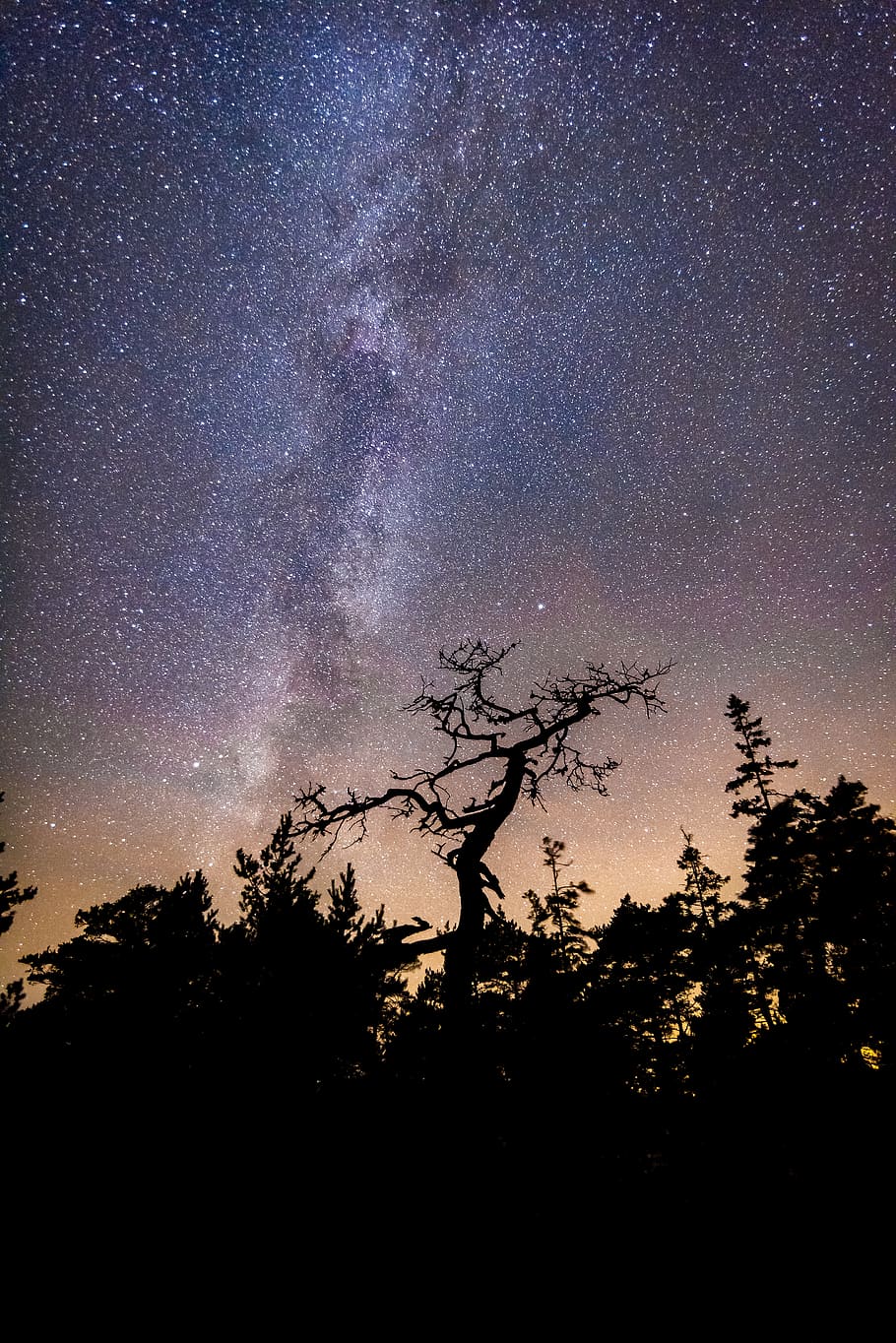 nature, no one, tree, sky, wallpaper, plant, astronomy, star - space HD wallpaper