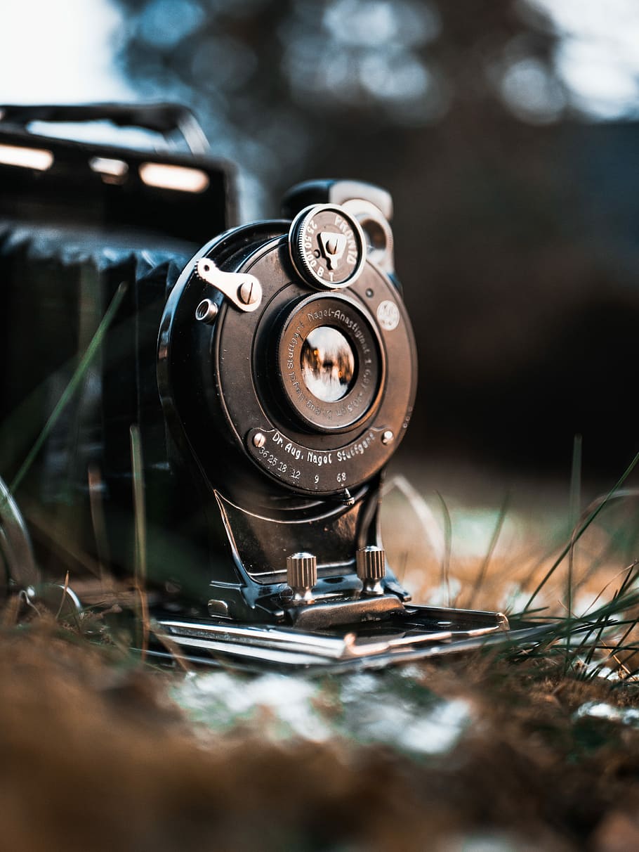 black land camera on grass land, selective focus of black camera HD wallpaper