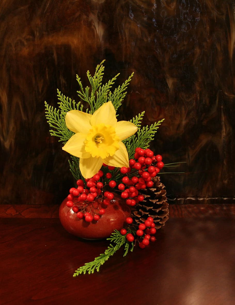 yellow Daffodil flowers in brown vase, arrangement, christmas, HD wallpaper