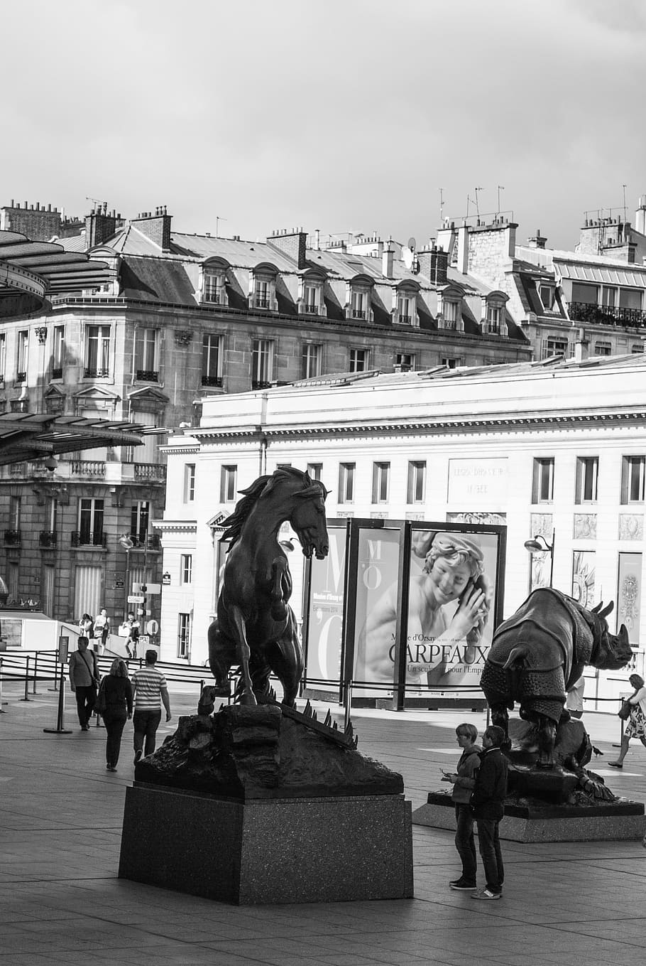 Square, Museum, Paris, D'Orsay, Statues, horse, rhino, black and white HD wallpaper