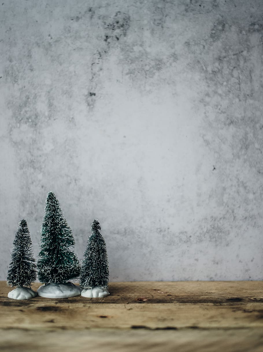 Christmas Trees, three miniature Christmas trees on top of brown wooden table HD wallpaper