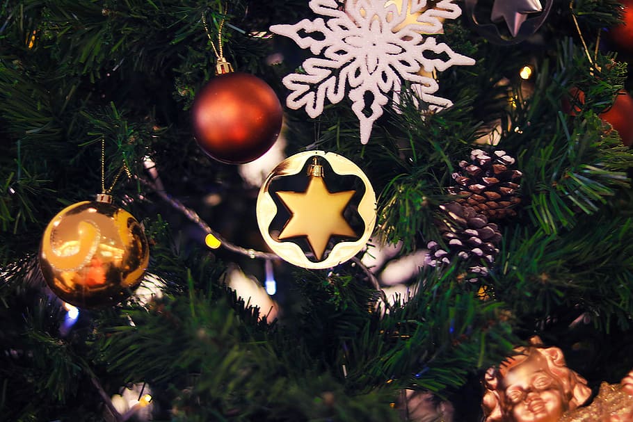 Christmas Tree, decoration, celebration, christmas Ornament, winter HD wallpaper