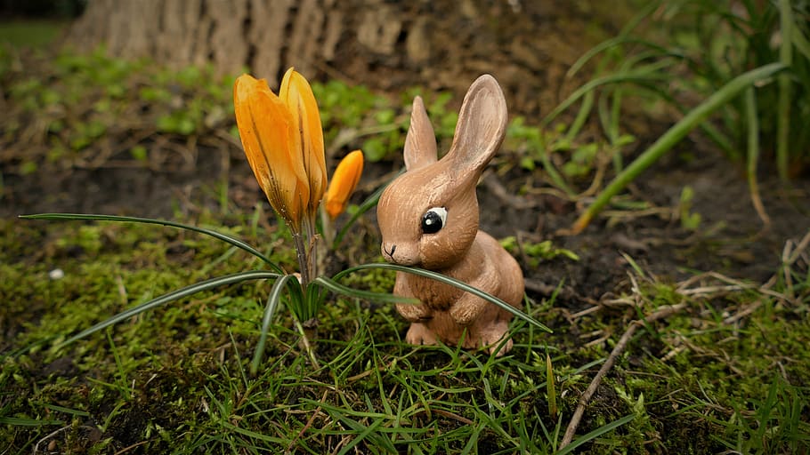 easter, easter bunny, hare, easter figure, easter decoration HD wallpaper