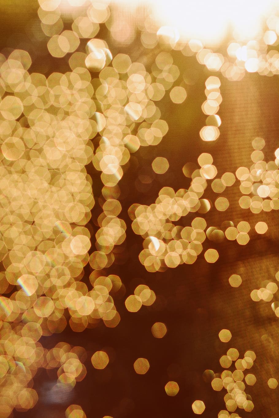 brow lights bokeh photography, sunshine, sunrise, sunset, rain HD wallpaper