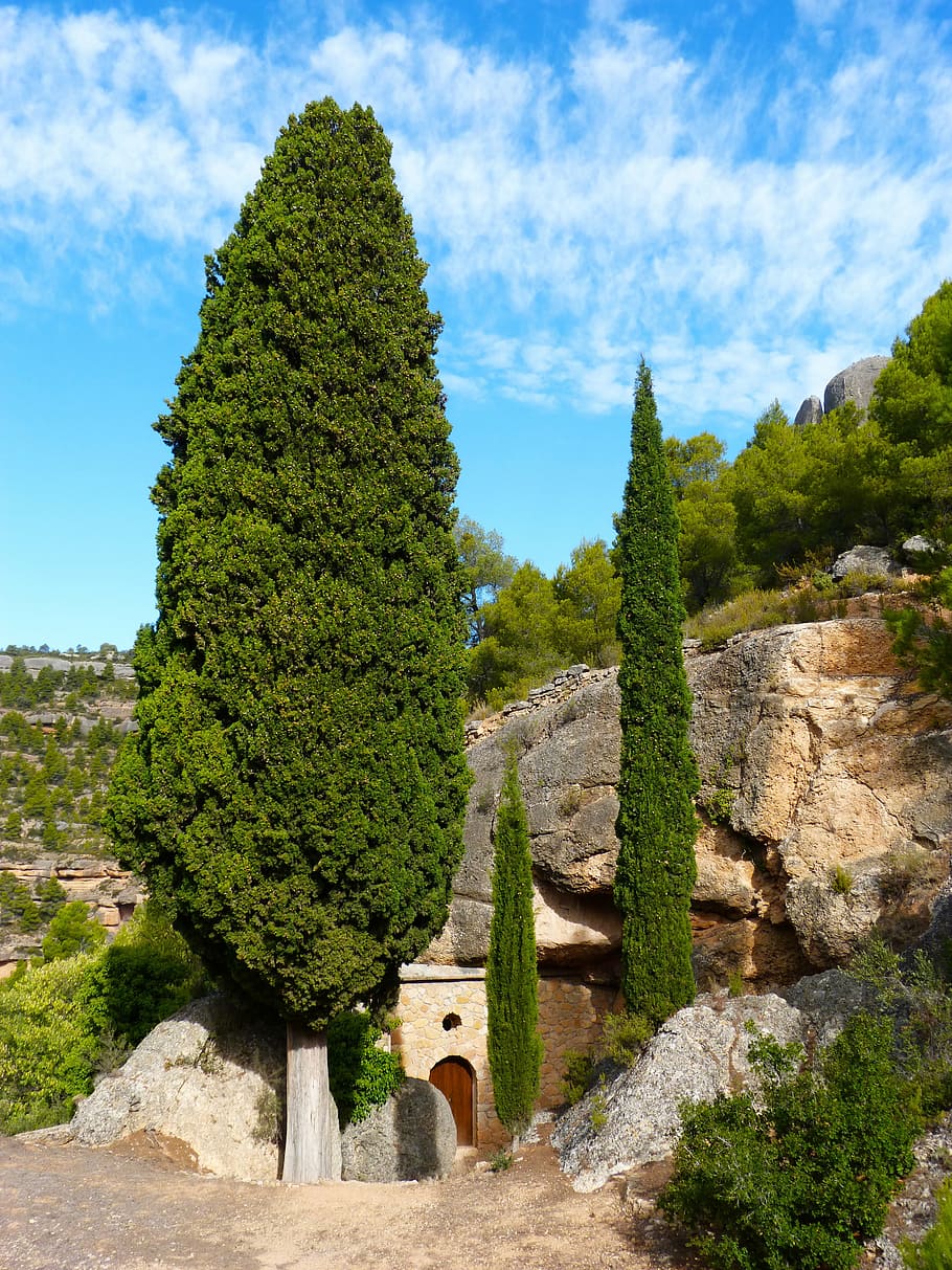 hermitage of sant roc, cabassers, priorat, cypress, montsant, HD wallpaper