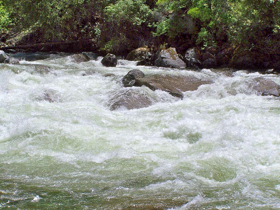 gushing water, river, stream, landscape, natural, creek, beauty HD wallpaper
