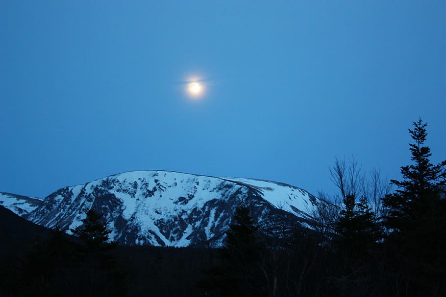 mountain, moon, scenic, mountains, snowy mountains, sky, tree HD wallpaper