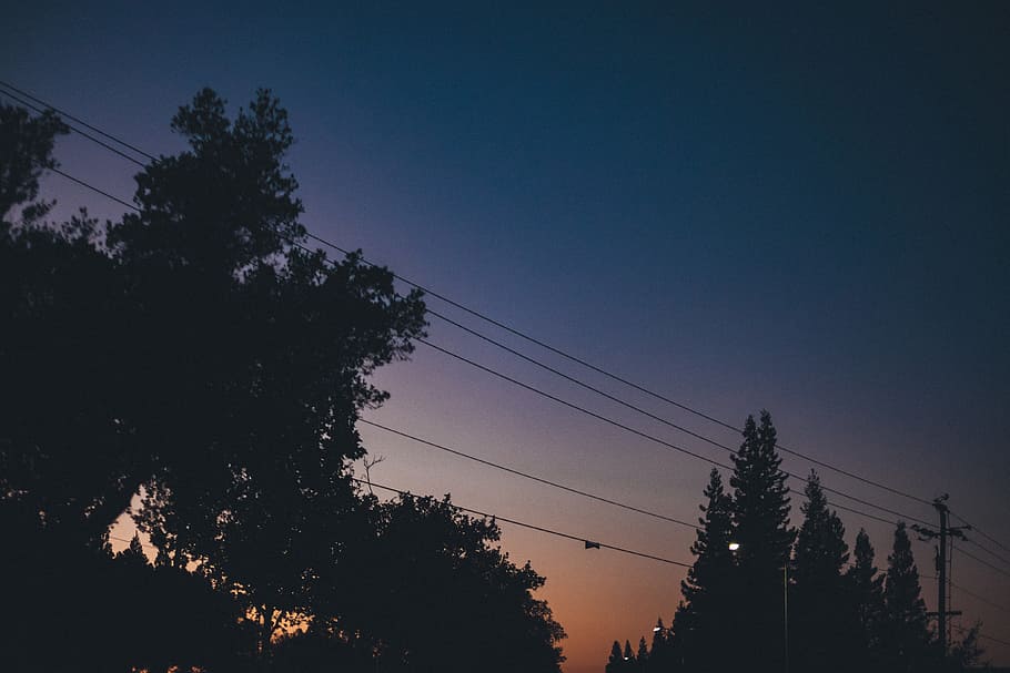 sunset, dusk, sky, night, dark, evening, trees, power lines HD wallpaper