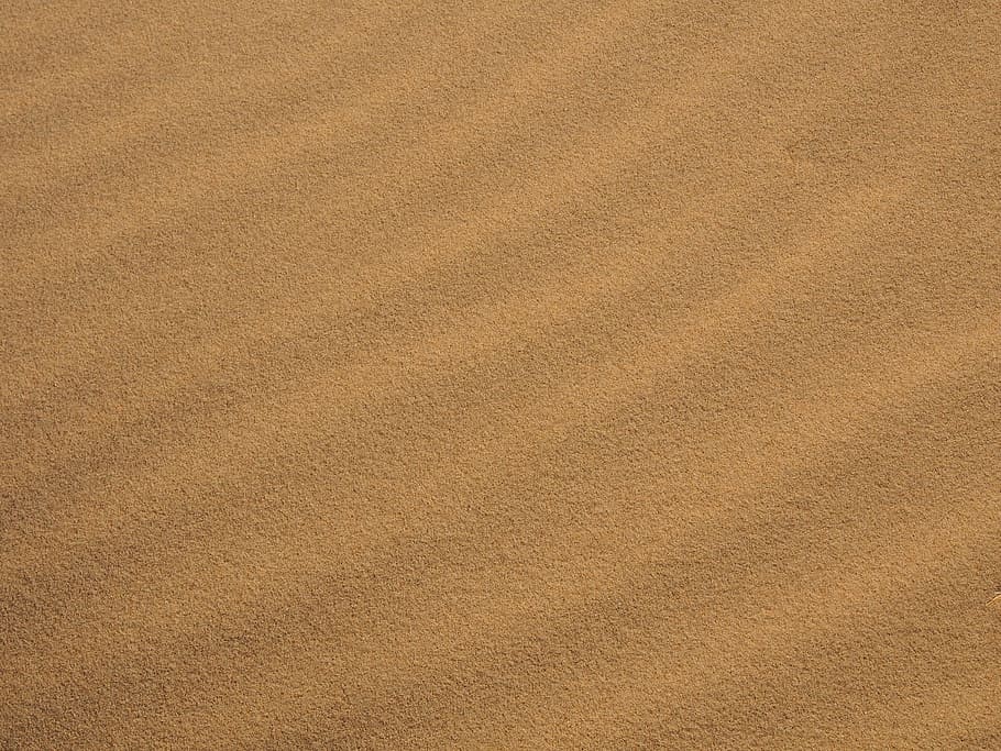 sand, beach, baltic sea, sand beach, texture, background, sand Dune, HD wallpaper