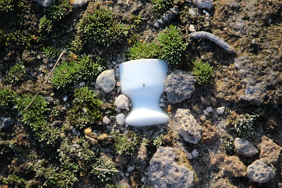 moss, insulator, ceramic, old, porcelain, antique, nostalgic HD wallpaper