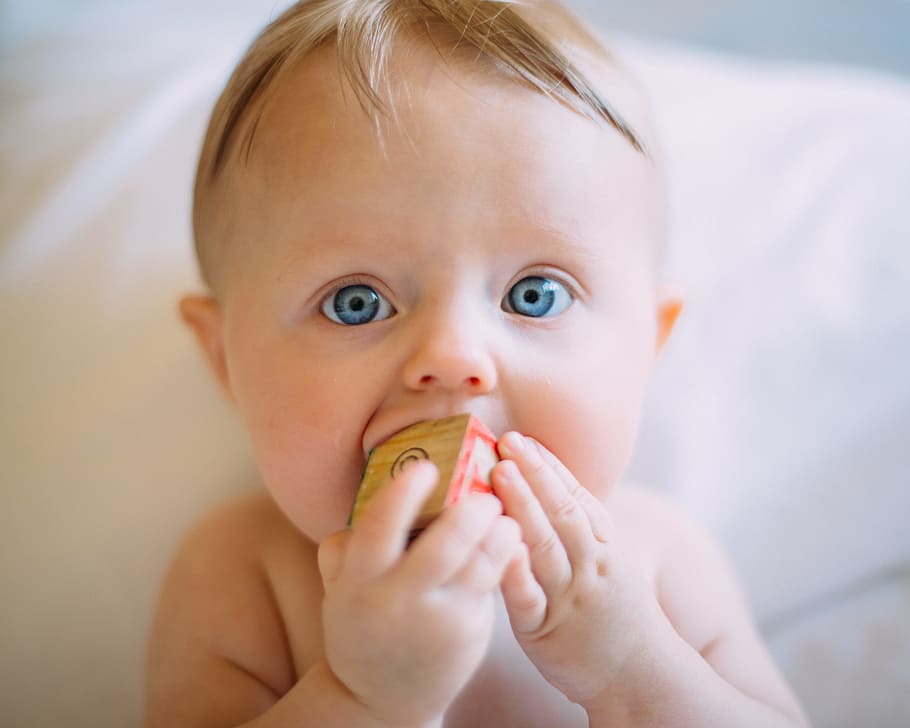 selective focus photography of baby holding wooden cube, baby eating wooden block