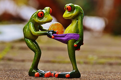 closeup photo of two green-and-red frog figurines, easter, curious HD wallpaper