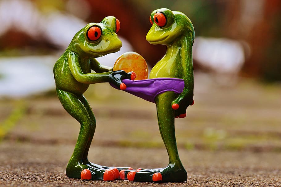 closeup photo of two green-and-red frog figurines, easter, curious HD wallpaper