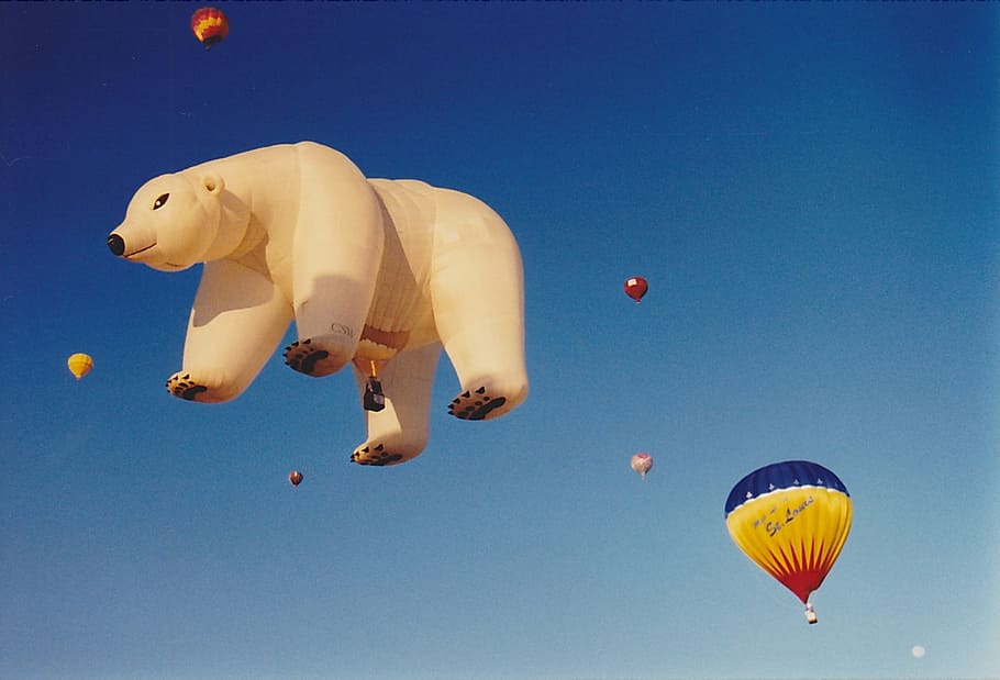 hot air balloon, polar bear, colorful, vibrant, albuquerque