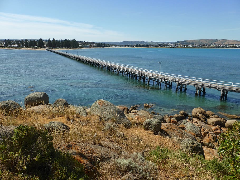 bridge, pier, jetty, distance, shoreline, seaside, wooden, horizon HD wallpaper
