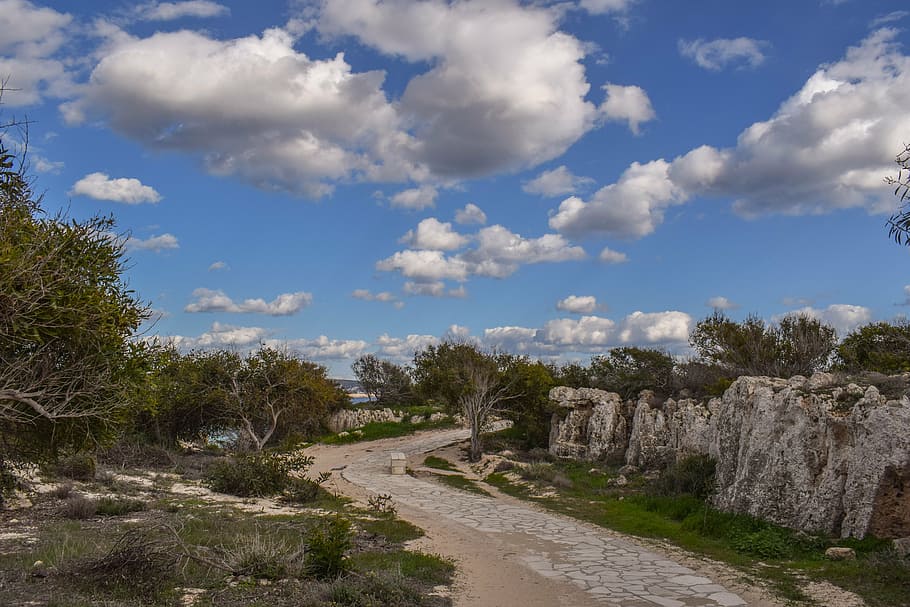 trees, coppice, path, sky, clouds, nature, landscape, seaside HD wallpaper