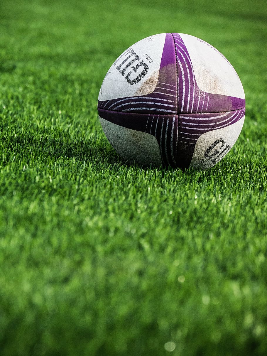 shallow focus photography of purple and white soccer ball, rugby