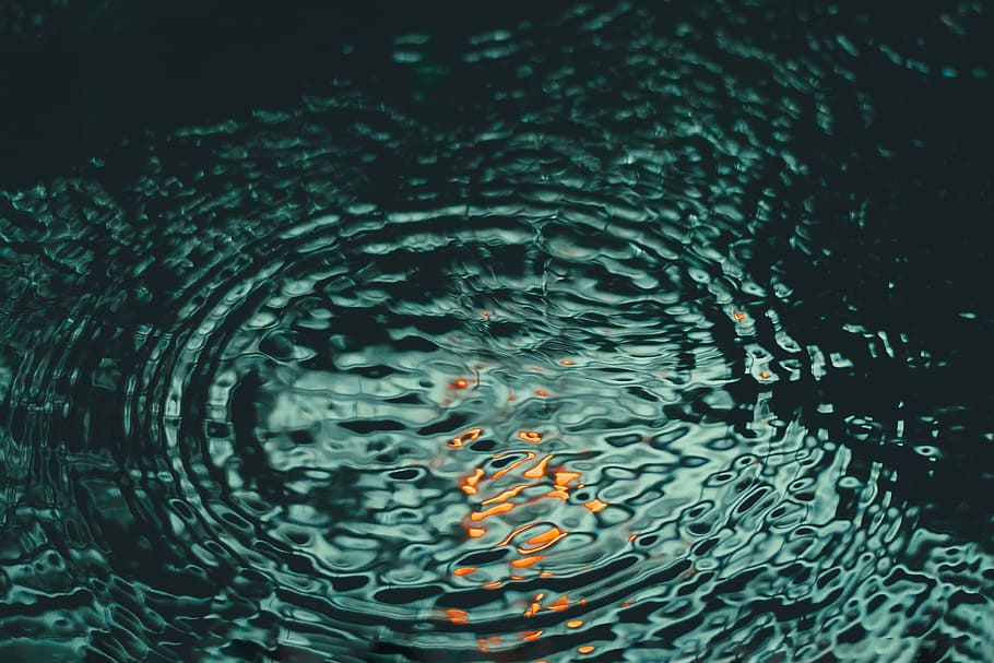 water ripple, clear body of water timelapse photography, water drop HD wallpaper