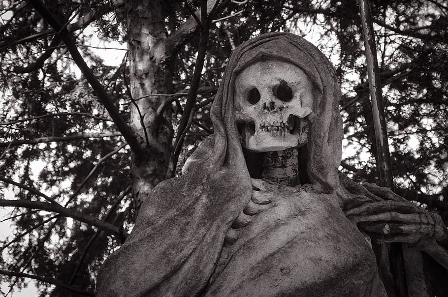 grayscale photo of skeleton, cutter man, dead, death, bony HD wallpaper