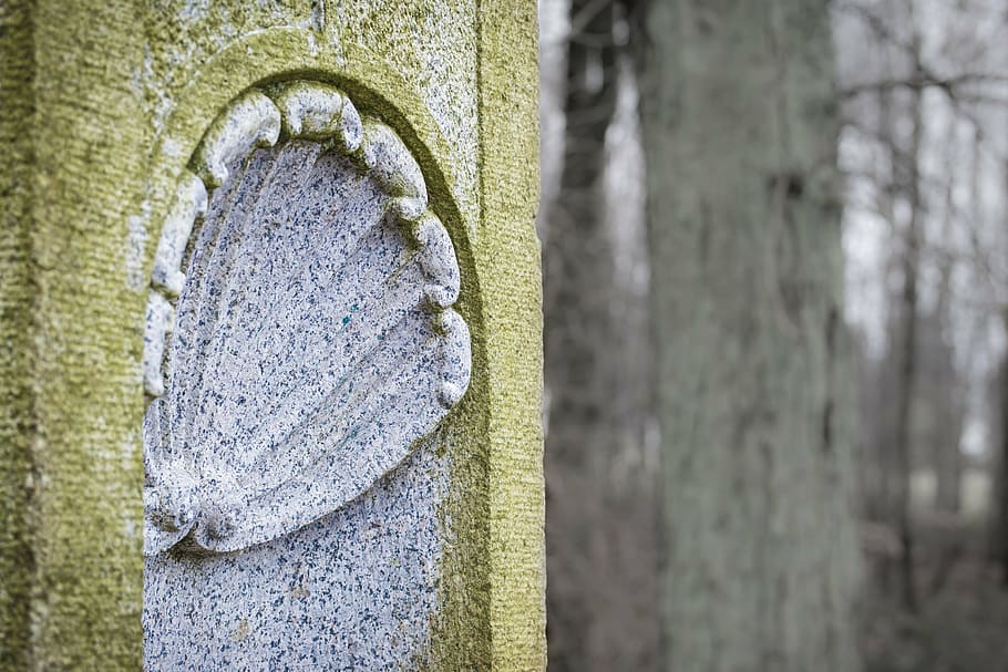 ornament, shell, stone, characters, symbol, make a pilgrimage HD wallpaper