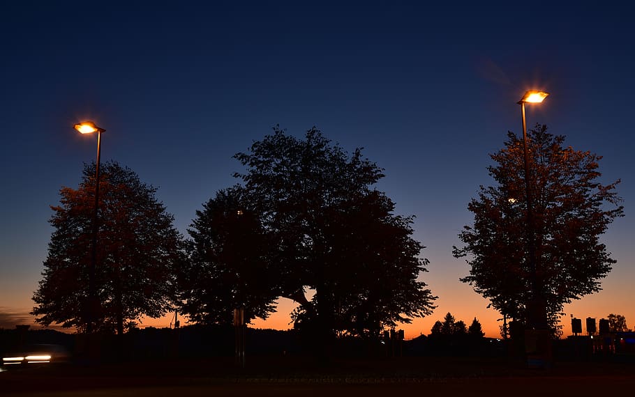 sunset, blue hour, trees, lanterns, dark, light, evening, night HD wallpaper