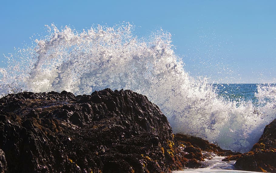 surf, spray, sea, ocean, rock, coast, foam, inject, nature HD wallpaper